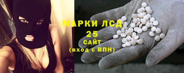 дживик Богородицк