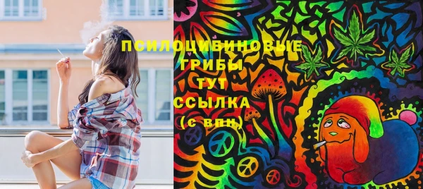 дживик Богородицк