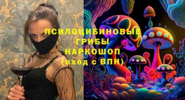 прущая мука Богородск