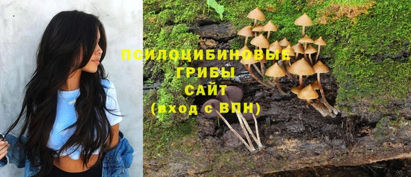 кокаин колумбия Богданович