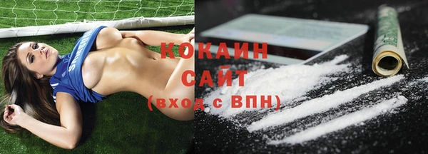 дживик Богородицк