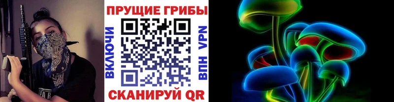 Псилоцибиновые грибы Cubensis  Нахабино 