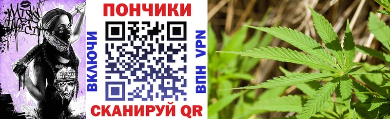 закладка  Нахабино  Шишки марихуана SATIVA & INDICA 